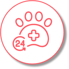 logo24-7 logo24-7