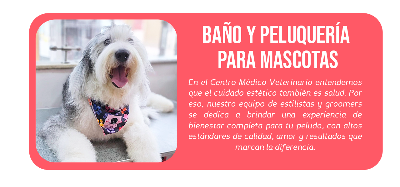 Baño-y-peluquería-para-mascotas---20-de-julio Baño-y-peluquería-para-mascotas---20-de-julio