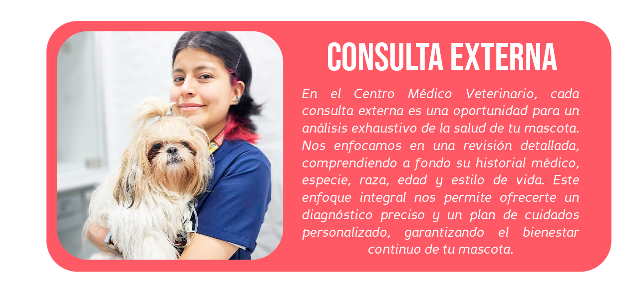 CONSULTA-VETERINARIA---BANNER---CMV20J CONSULTA-VETERINARIA---BANNER---CMV20J