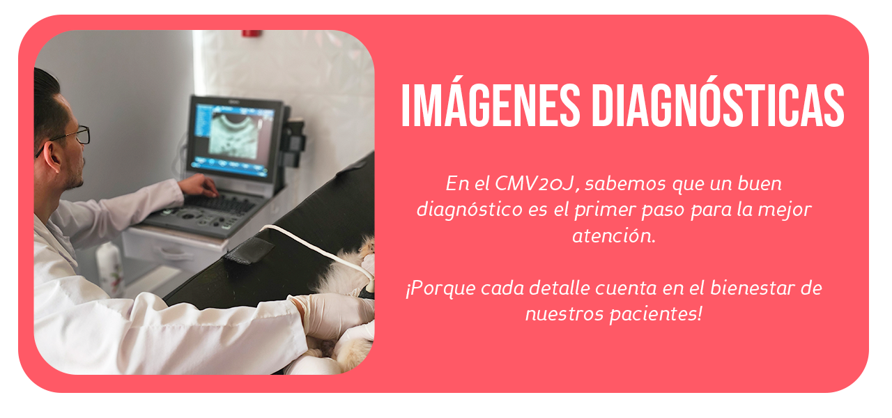 Imagenes-diagnosticas---Cmv20J-banner Imagenes-diagnosticas---Cmv20J-banner