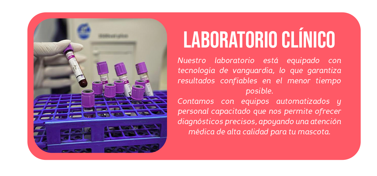 Laboratorio-clínico-de-mascotas--20-de-Julio Laboratorio para mascotas