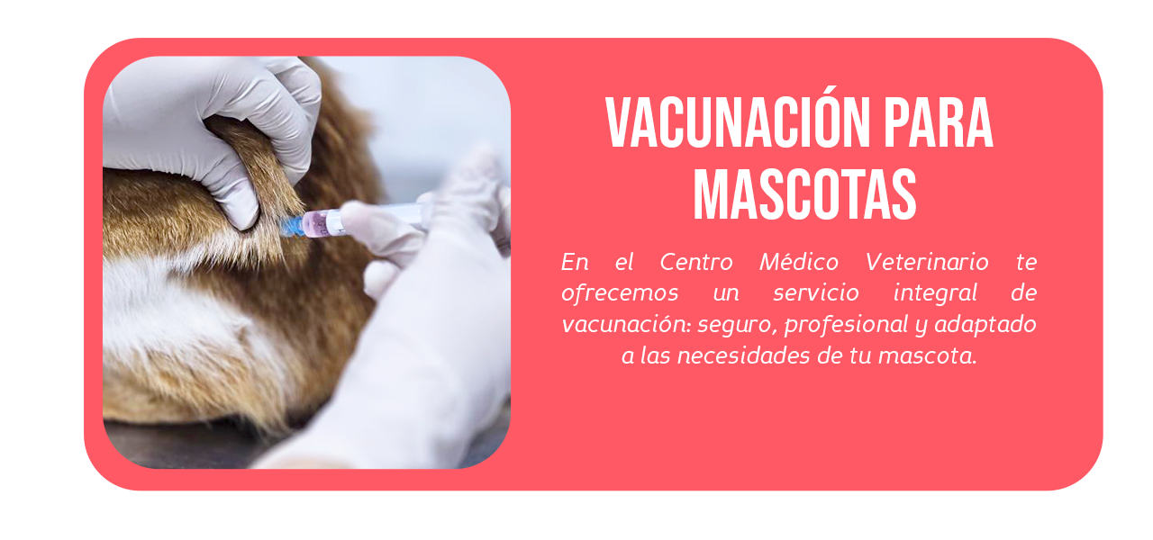 VACUNACIÓN---CMV20J VACUNACIÓN---CMV20J