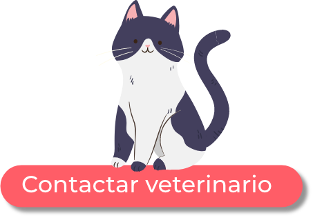 ctactionparte1