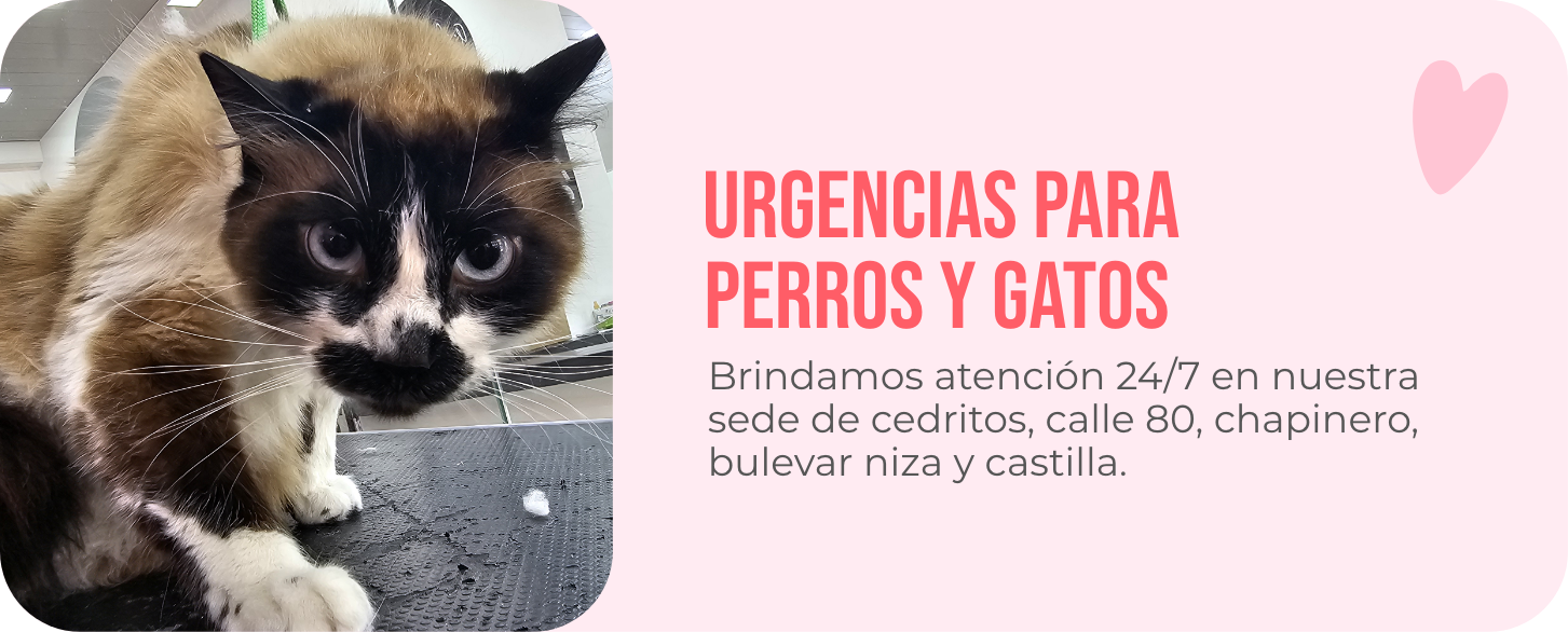 imgseccion2servicios imgseccion2servicios