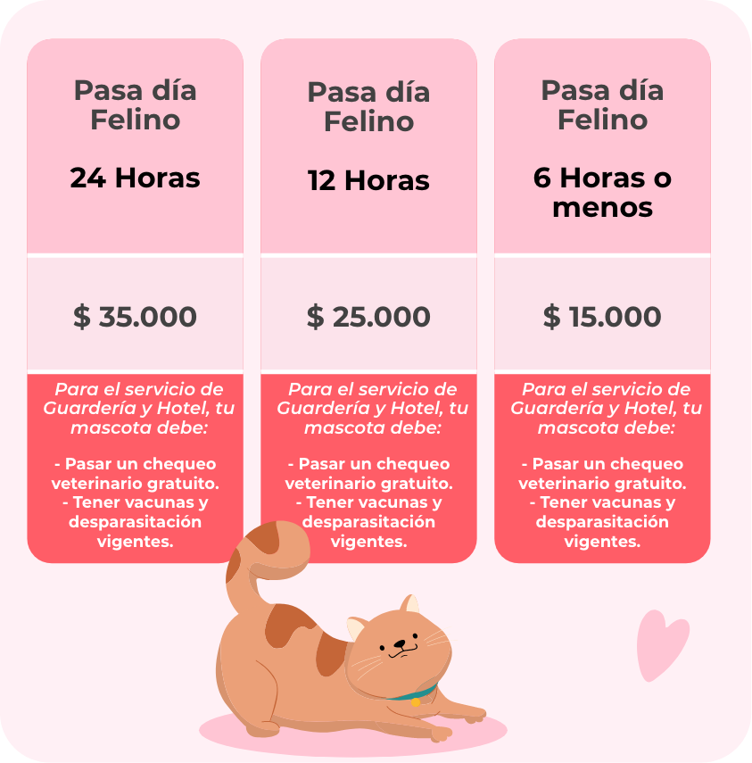 preciosfelino preciosfelino