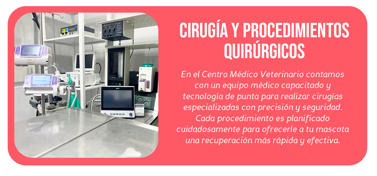 urgencias-veterinarias-24-horas---cmv20J urgencias-veterinarias-24-horas---cmv20J